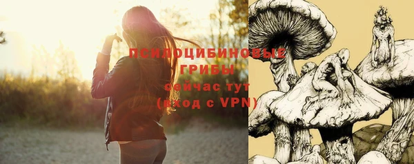 MDMA Premium VHQ Бронницы