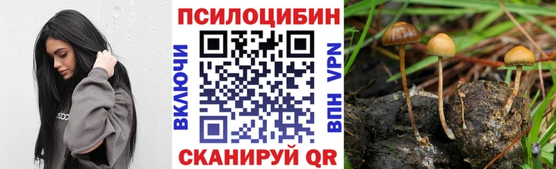 Галлюциногенные грибы прущие грибы  купить наркотики сайты  Уфа 